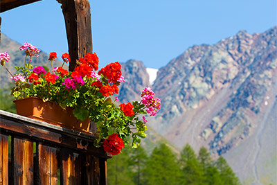 Camere nel albergo Jägerrast