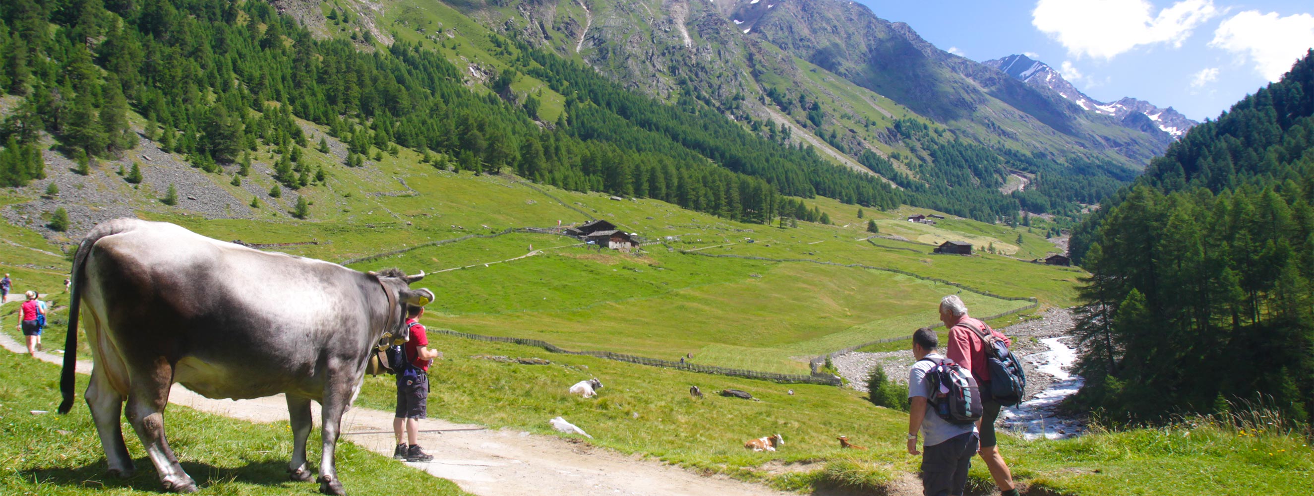 Val di Fosse in Val Senales